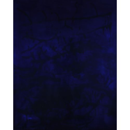 OHTAKE Shinro "CRYPTOGRAPHIE Ⅱ"Techniques mixtes sur toile 227.8×182.4 cm