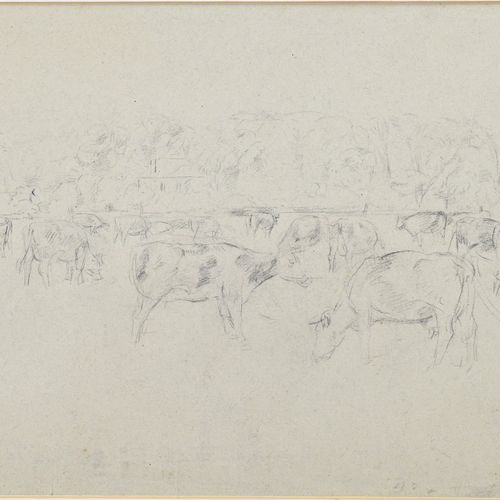 Null 炭笔画。约1900年。研究风景中的奶牛。炭笔在纸上。尺寸。高34 x 宽51厘米。状况良好。