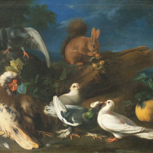 Franz Werner von Tamm (Hamburg 1658 - Wien 1724). Squirrel, Guinea Pig and Poult&hellip;