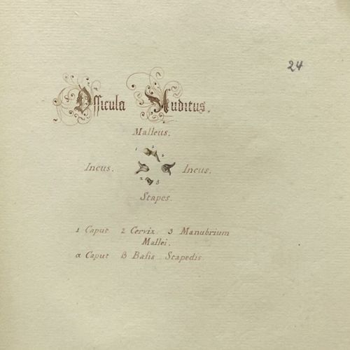 Characterum, quae in iconibus ossium capitis occurunt. Album XVIIIe d'aquarelles&hellip;