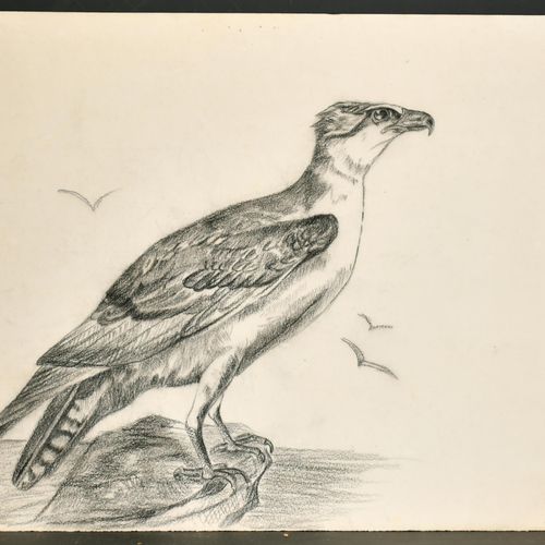 Null 19th Century English School. A Stork's Nest, Watercolour, Unframed 15" x 11&hellip;