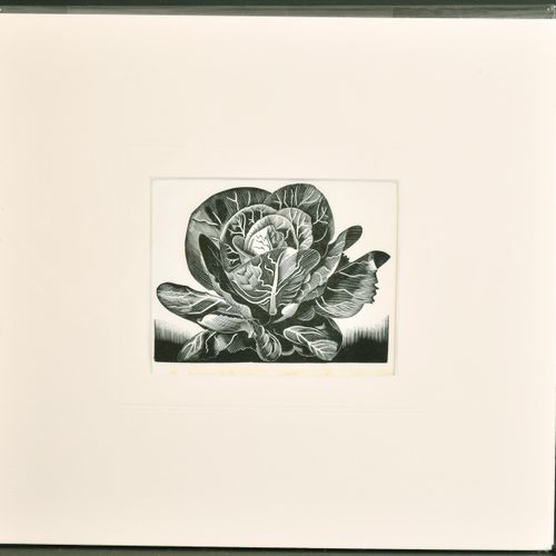 Null Monica Poole (1921-2003) Britin. "Magnolia", Holzschnitt, signiert, mit Ble&hellip;