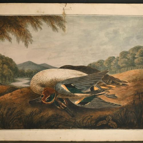 Null Scuola inglese del XIX secolo. Un nido di cicogna, acquerello, senza cornic&hellip;