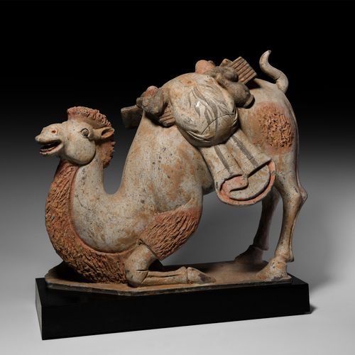 Null 
中国唐代跪拜的双峰驼。唐朝，公元618-907年。一头陶制双峰驼跪在一个整体的斜方形底座上，主腿站立，尾巴直立，前腿收在身体下面，脖子放在地面上，头&hellip;