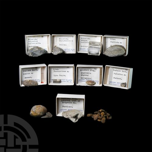 Null Collection historique de fossiles. Période du Jurassique à l'Éocène, 199-36&hellip;
