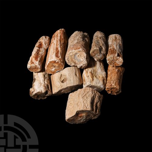 Null Fossilised Tree Branch Collection.. A group of ten fossil tree branch secti&hellip;