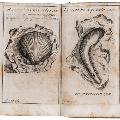 Null Minéralogie - Henckel, Johann Friedrich. Flora Saturnizans, Die Verwandscha&hellip;