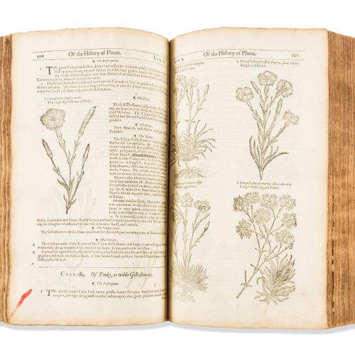 JOHN GERARD Herbal.- Gerard (John) The Herball of Generall Historie of Plantes, &hellip;