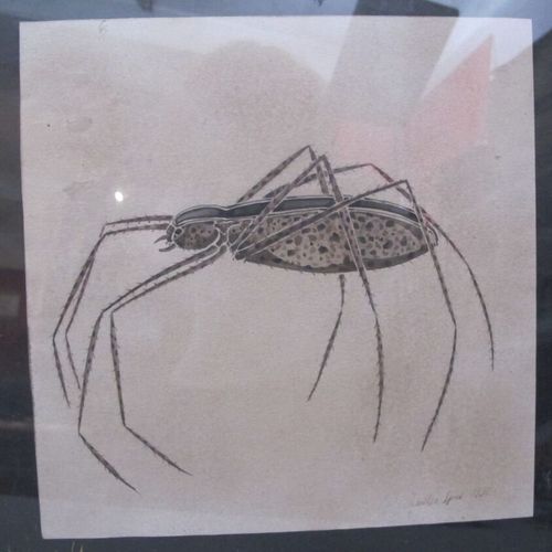 SPIES Walter (Moscou 1895 vers Ceylan 1942) 
Etude d'insecte 
Dessin à l'encre d&hellip;