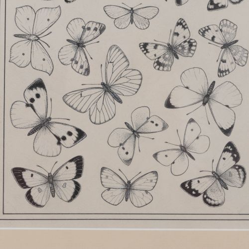 Null Dibujo de Wilhelm Frederik A. Pothast (1877-1917) - Mariposas,