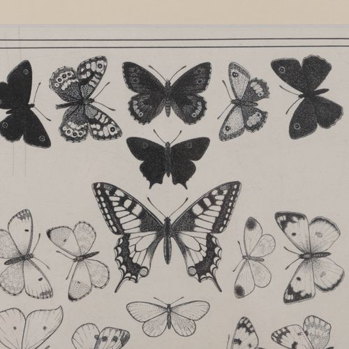 Null Wilhelm Frederik A. Pothast (1877-1917) drawing - Butterflies,