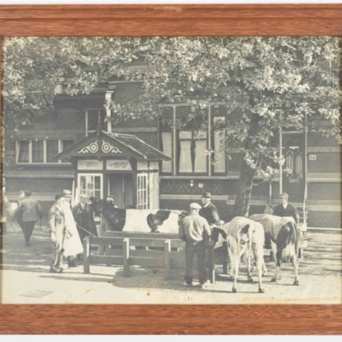 [Amsterdam] [Original photography] Municipal abattoir, c. 1930 Trois tirages vin&hellip;