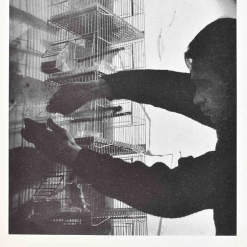 [Avant-Garde] Kounellis, Il Giardino, I Giuochi Rom, L'Attico, 1967. Herausgegeb&hellip;