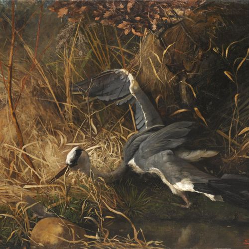 Null 恩斯特-路德维希-普莱斯，《芦苇丛中的灰鹭》。1883.
Ernst Ludwig Plaß1855 Sterley - 1917 Lübeck

布&hellip;