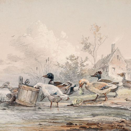 Null 恩斯特-哈斯，《好奇的鸭子》。大约在1850年。
恩斯特-哈斯1819年埃尔福特-1860年德累斯顿。

铅笔画，水彩画，在粉笔纸上。无符号。背面刻有&hellip;