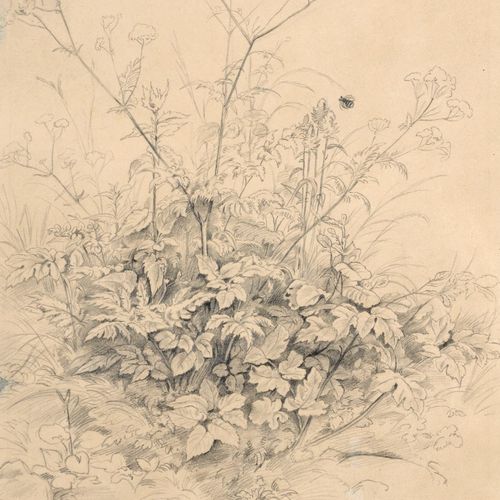 Null 阿德里安-路德维希-里希特（学校），《草甸子》。19世纪中期。
Adrian Ludwig Richter1803 Dresden - 1884 ib&hellip;