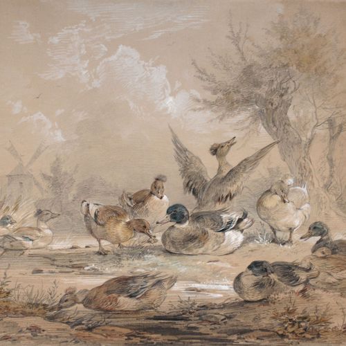 Null 恩斯特-哈斯，《水边的鸭子》。大约在1850年。
恩斯特-哈斯1819年埃尔福特-1860年德累斯顿。

铅笔画，水彩画，纸板上。以铅笔签名的 "EH&hellip;