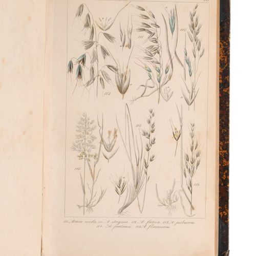 Null Christian Gottlieb Lorek "Flora Prussica". 1846.
Christian Gottlieb Lorek17&hellip;