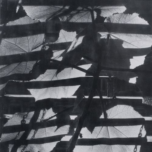 Null Albert Hennig "Albert Hennig. 10 fotografie dell'artista del Bauhaus". 1930&hellip;
