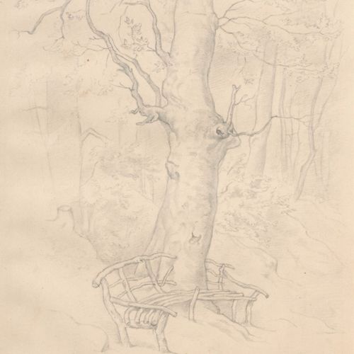 Null 雨果-图尔默，老橡树。1869.
Hugo Toermer1846年德累斯顿-1902年洛希维兹

铅笔画。签名："H.Törmer "和广泛的日期 &hellip;