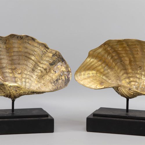 Null A sculpture of shells, gold patinated metal on composite bases (A).

H. 21 &hellip;