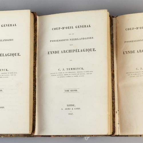 Null Temminck "Coup-d'oeil général" 1846。"Sur les possessions Néerlandaises dans&hellip;