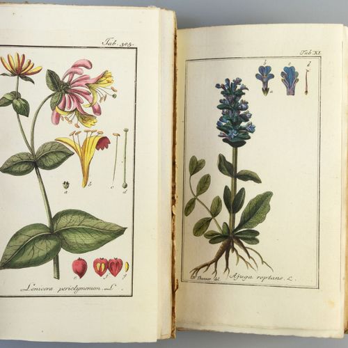 Oskamp, Leonard & Zorn Houttuyn - Artseny gewassen, 1796 - 1800 "Afbeeldingen de&hellip;