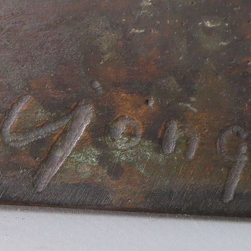 Cor Jong (1955) Gestileerde buste 青铜，不同的铜锈，有签名，编号为3/5，日期为'86--背面的划痕。A- h. 49 cm