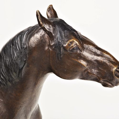 Albert Hinrich Hussmann (1874, Cuxhaven - 1946, Berlin) - Standing Horse Albert &hellip;