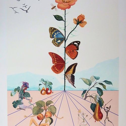 Salvador DALI Salvador DALI 
Flordali II La rose papillon, 1981 
 
Lithographie &hellip;