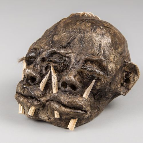 Null A 20TH CENTURY IMITATION LEATHER DIPROSOPUS (TWO-FACED) SHRUNKEN HEAD.

(h &hellip;