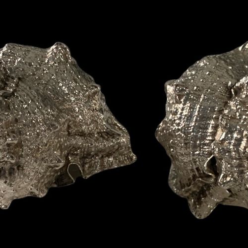 Null 归属于Federico Buccellati的一对意大利涂银海螺壳。

(长20.3厘米，毛重752.6克)



注：类似的作品在佳士得2012年5&hellip;