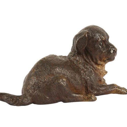 AN EARLY 20TH CENTURY VIENNESE COLD PAINTED BRONZE MODEL OF A PUPPY MODÈLE DE CH&hellip;