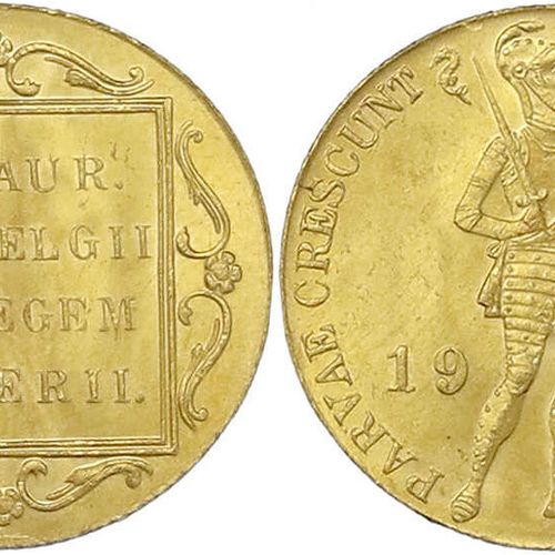 Null 外国金币和奖章，荷兰，威廉明娜，1890-1948年，1928年杜卡，乌得勒支。3,49 g.986/1000。薄荷/几乎薄荷。Krause/Mish&hellip;