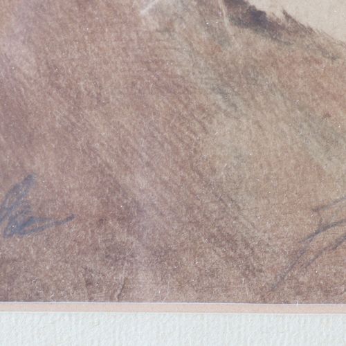 Goldberg, Fred 可能是弗雷德-达曼-戈德堡，19/20世纪的美国画家，"狮子头"，彩色石版画，中央下方有难以辨认的铅笔签名，右边有 "弗雷德-戈德&hellip;
