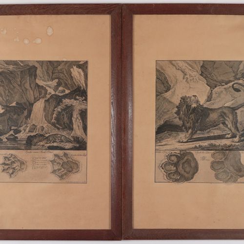 Ridinger, Johann Elias - Jagdbare Tiere 7 p., gravures sur cuivre de Joh. El. Ri&hellip;