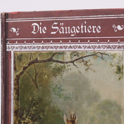 Lenz, Harald, Othmar - Naturgeschichte 2 vol., "Die Vögel", Gotha 1891, Verlag E&hellip;