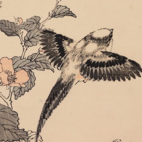 Bairei, Kono 1844年京东-1895年同上，真正的安田直人，19世纪风格的日本画家，木版画，选自《百鸟朝凤--百鸟图》一书，由大仓马戈壁出版，18&hellip;