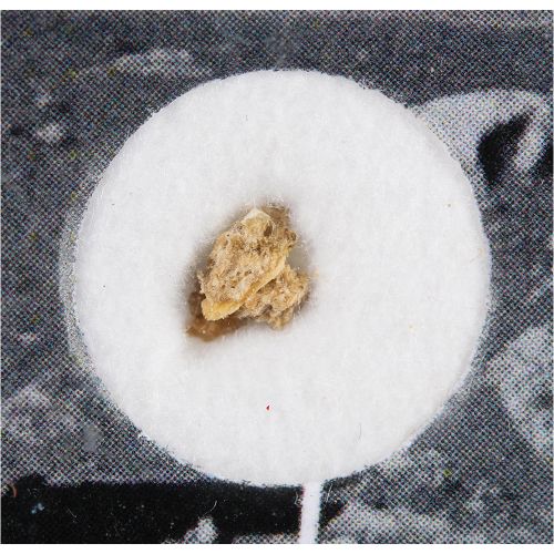 Al Worden's NWA 4483 Lunar Meteorite Fragment Tiny fragment of the Northwest Afr&hellip;