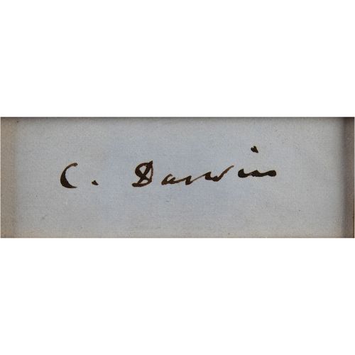 Charles Darwin Signature Signature à l'encre en gras, "C. Darwin,'Äù sur un feui&hellip;