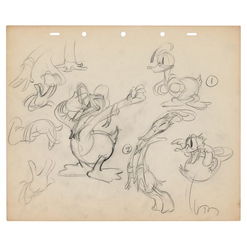 Preston Blair preliminary model sheet drawing of Donald Duck (华特迪士尼工作室，1937-1941&hellip;