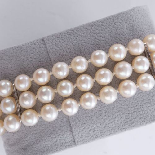 Null 珍珠手链，三排，珍珠6.5毫米，扣子WG 585，有三颗珍珠，两根WG棒，20厘米长