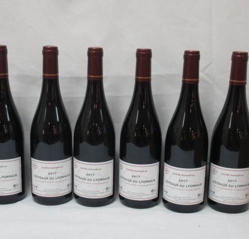 6 bouteilles de Côteaux du Lyonnais Rouge, 2017.