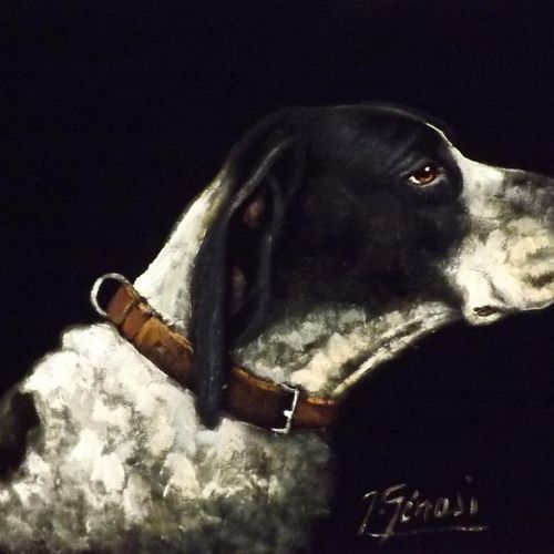 GENASI (XXe) Tête de chien. Peinture sur velours. Signé en bas à droite. 39x56cm