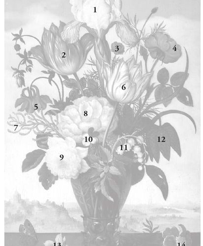 Ambrosius BOSSCHAERT le vieux (Anvers 1573 – La Haye 1621) Fleurs coupées dans u&hellip;