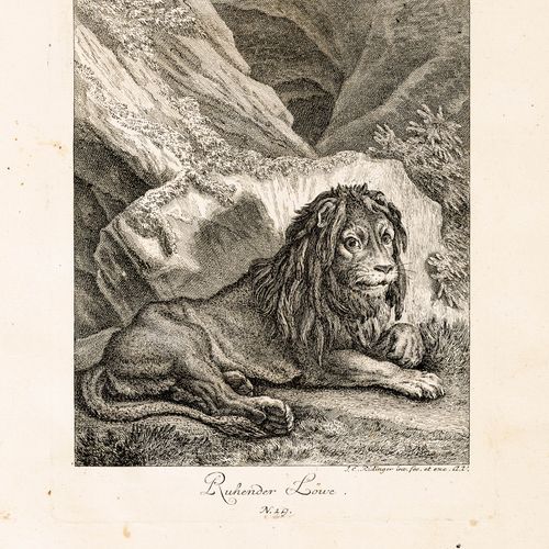 Null ZOOLOGIE -
Ridinger, Johann Elias. 
 Esquisse de quelques animaux, tels qu'&hellip;