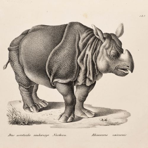 Null ZOOLOGY - Brodtmann, Karl Joseph
Schinz, Heinrich Rudolf. 
 Natural history&hellip;