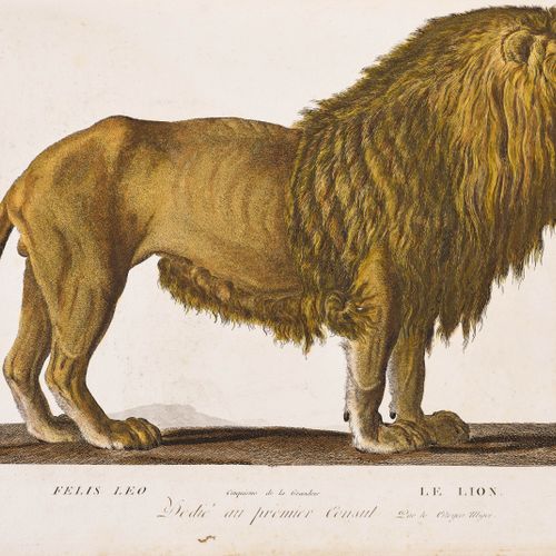 Null ZOOLOGÍA -
Lacépède, B. G. E. U. G. Cuvier. 
 La Ménagerie du Museum d'Hist&hellip;