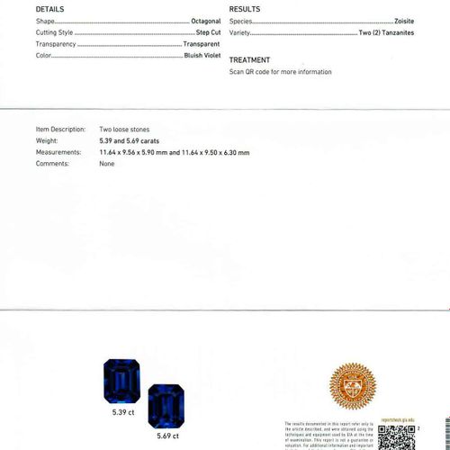 Null TANZANITE AND DIAMOND EAR PENDANTS.
Platinum 950 and white gold 750, 8g.
Ea&hellip;