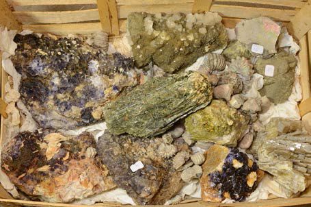 Null Lot avec fluorines violettes et barytines d'Espagne, épidote, ammonites de &hellip;